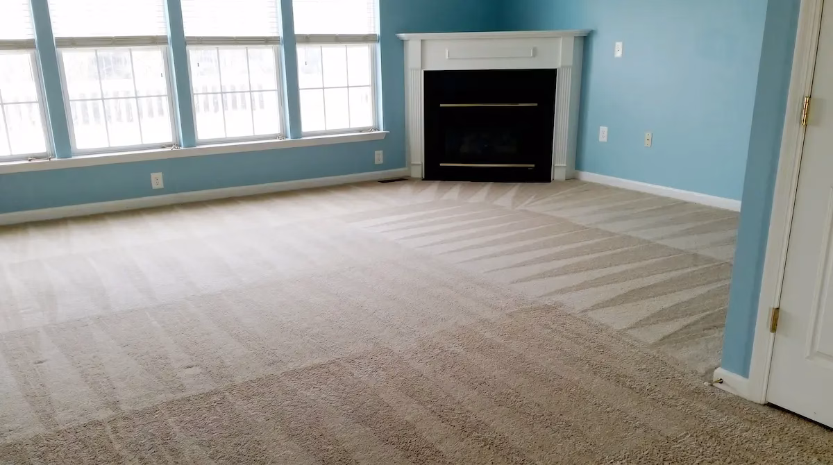 Before and after professional carpet steam cleaning — Fairfield Steam Cleaning results
